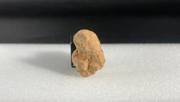kleine maan (troctolite smeltebreccie) - 2 g - (1)