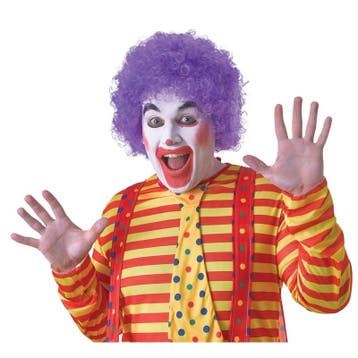 Verkleed clown pruik paars voor volwassenen - Pruiken unisex, Ophalen of Verzenden, Nieuw