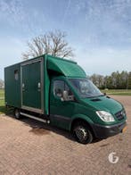 Degelijke Mercedes Paardenwagen! Automaat!, Ophalen, Zo goed als nieuw, Aluminium, 2-paards trailer