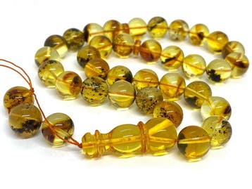 Tentoonstellingskwaliteit Baltisch amber 33-kraal tasbih,, Nieuw