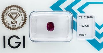 Zonder minimumprijs Robijn - 1.02 ct - International, Nieuw