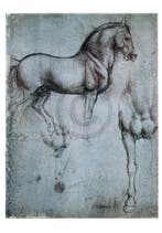 Kunstdruk Leonardo Da Vinci - Studio di cavalli 35x50cm, Verzenden, Nieuw