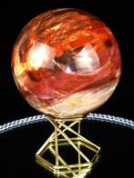 BAL VERSTEEND HOUT / ZONDER MINIMUMPRIJS / - Gefossiliseerd