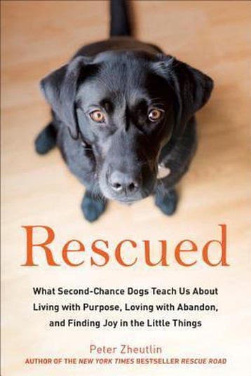 Rescued - Peter Zheutlin 9780143131175, Verzenden, Gelezen, Peter Zheutlin