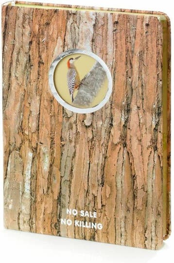 D1218-1 Dreamnotes notitieboek Natuur Bonte specht, Verzenden, Nieuw