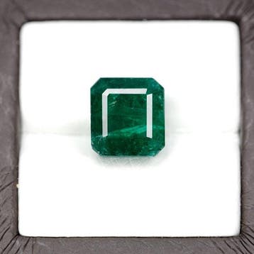 1 pcs Groen Smaragd - 6.05 ct - Guild Gem Laboratory, Nieuw