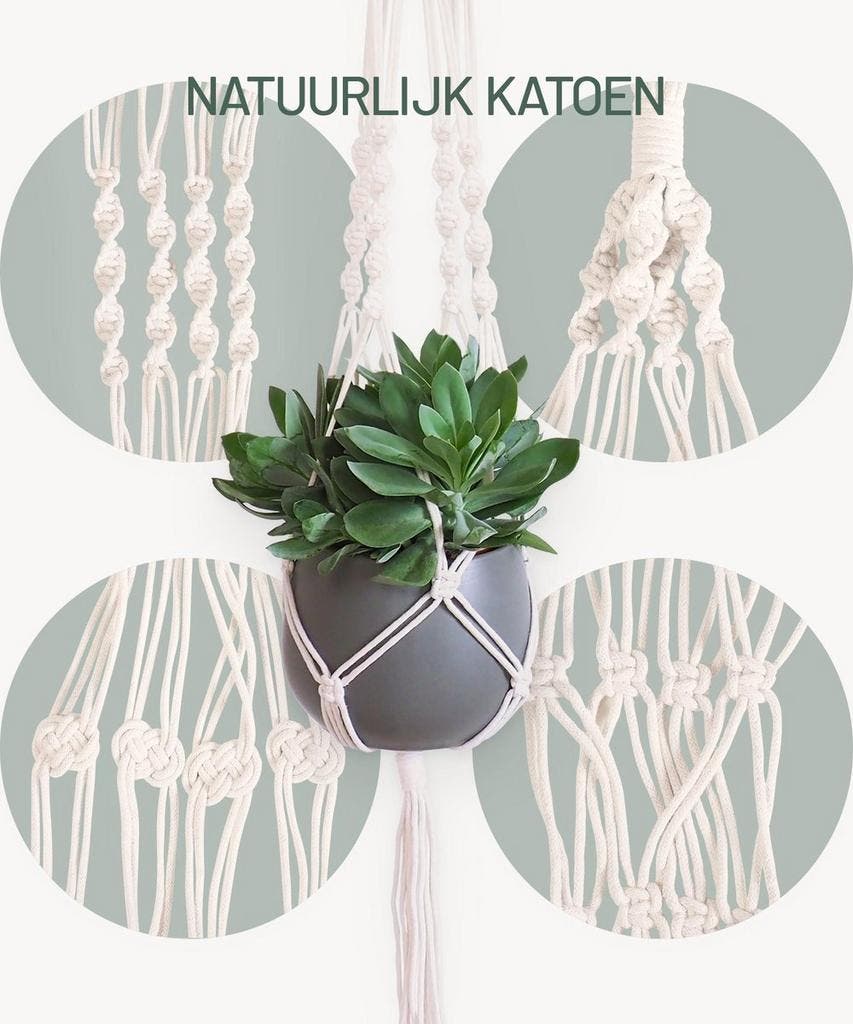 Top 10 plantenhangers van 2025 | De BESTE plantenhanger volgens Daisy