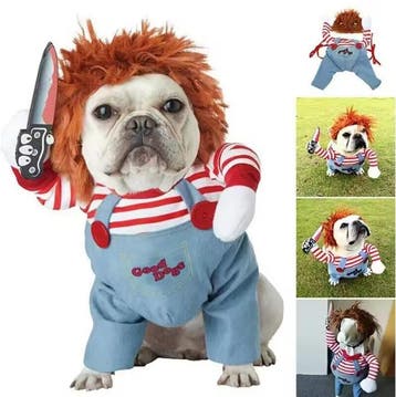 Grappig Huisdierkostuum – Cosplay Party Outfit met Hoed, Verzenden, Nieuw