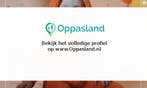 Sander zoekt een oppas in Hengelo voor 1 kind.