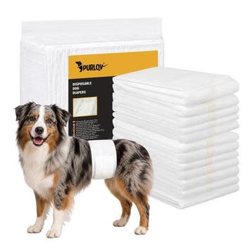 Honden Luier voor Reuen L 12 Stuks – Wegwerpluiers voor Reu, Dieren en Toebehoren, Ophalen of Verzenden, Nieuw