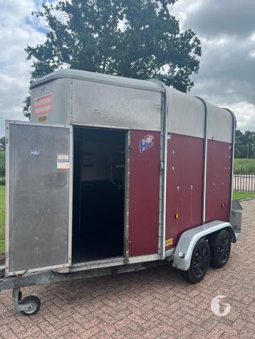 Degelijke Ifor Williams 2-paards met vooruitloop!, Dieren en Toebehoren, Paarden en Pony's | Trailers en Aanhangwagens, Ophalen