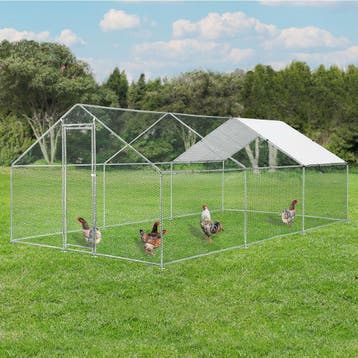 Kippenren / Kippenhok - HLS25T - 300 x 600 x 200 cm, Dieren en Toebehoren, Verzenden, Nieuw
