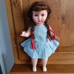 Schildkröt - Pop - 1940-1950 - Duitsland