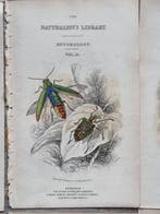Sir William Jardine (1800–1874) - Lot of 9 plates The