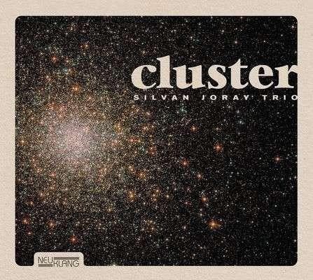 Silvan Joray - Cluster, Cd's en Dvd's, Cd's | Pop, Gebruikt, Ophalen of Verzenden
