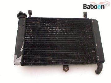 Radiateur Yamaha YZF 600 R Thunder Cat 1996-2002 (YZF600R, Verzenden, Gebruikt