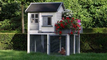 Kippenhok Sunshine  -  fleurt uw tuin helemaal van op!, Dieren en Toebehoren, Knaagdieren en Konijnen | Hokken en Kooien, Nieuw