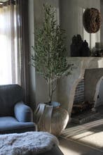 Namaak olijfboom Olea zwarte olijf 200 cm, Ophalen of Verzenden, Nieuw