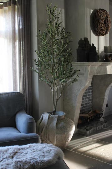 Namaak olijfboom Olea zwarte olijf 200 cm, Ophalen of Verzenden, Nieuw
