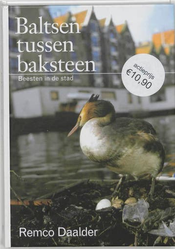 Baltsen tussen baksteen - Remmelt Daalder 9789059370425, Verzenden, Gelezen, Remmelt Daalder