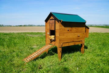 Trespa Kippenhok / Cucciolotta Classic XL Op Pootjes, Ophalen of Verzenden, Nieuw