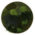 Vintlux Mosschilderij Rond 80 cm Donker Eiken - Solbjerg, Huis en Inrichting, Woonaccessoires | Wanddecoraties, Nieuw