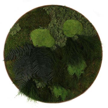 Vintlux Mosschilderij Rond 80 cm Donker Eiken - Solbjerg, Nieuw