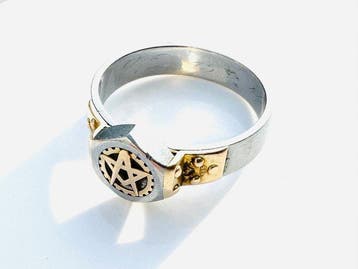 Ring - 14 karaat Geel goud, Witgoud, Nieuw