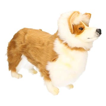 Hansa Welsh Corgi knuffel - 50 cm - pluche - hond, Verzenden, Nieuw