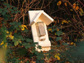 Vogelvoerhuis - Gerecycled hout (Vogels, Dier & Design), Ophalen of Verzenden, Nieuw
