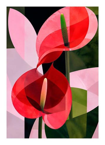 Xandro Peña - Anthurium - XL