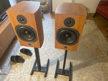 Acoustic Engineers - Scm 11 cherry Luidspreker, Nieuw