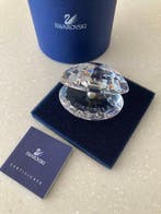 Swarovski - Beeldje - Swarovski Shell with Pearl - Kristal