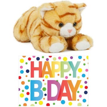 Cadeau setje pluche kat/poes knuffel - 25 cm - Happy, Verzenden, Nieuw