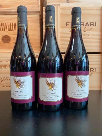 2019 Sergio Mottura, Magone - Lazio IGT - 3 Fles (0,75, Nieuw
