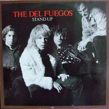 LP gebruikt - The Del Fuegos - Stand Up, Verzenden, Zo goed als nieuw, Overige formaten