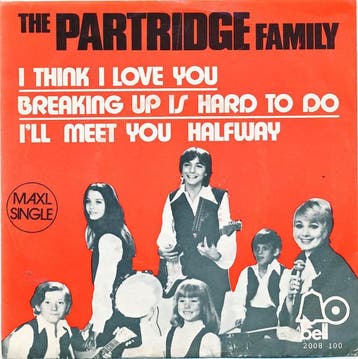 Single vinyl / 7 inch - The Partridge Family - I Think I..., Verzenden, Zo goed als nieuw, 7 inch, Rock en Metal