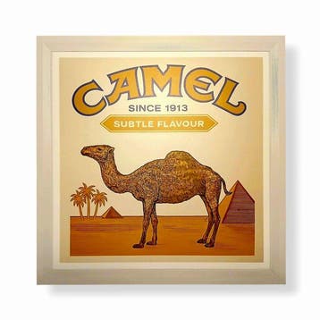 Camel - Lichtreclame bord van Camel - Lichtbord - Plastic,, Antiek en Kunst
