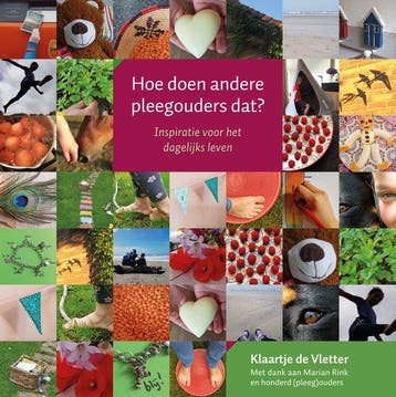 9789085601678 Hoe doen andere pleegouders dat?, Verzenden, Zo goed als nieuw, Klaartje de Vletter