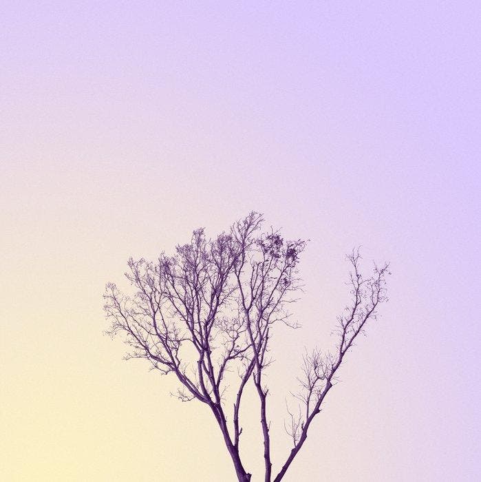 Téber - Roots · No Reserve, Antiek en Kunst, Kunst | Designobjecten