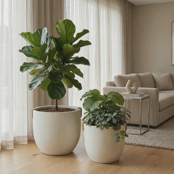 Grote Gevroren Steenlook Bloempot - Stijlvolle Plantenbak vo, Tuin en Terras, Bloempotten, Verzenden, Nieuw
