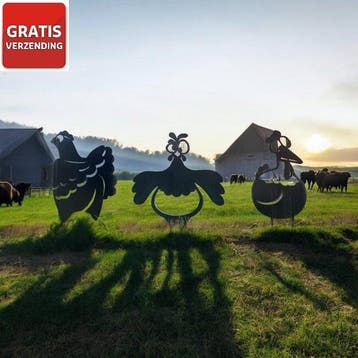 Tuindecoratie van drie kippen - De Tokkies, Verzenden, Nieuw