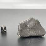 Museumkwaliteit, Exclusief!!!! Eucriet uit de