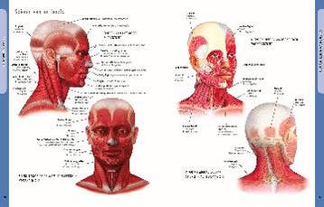 Anatomie van het menselijk lichaam (geb) 9789089986184, Verzenden, Zo goed als nieuw, Ken Ashwell