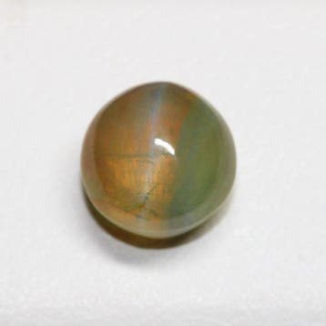 1 pcs Groen, Geel Kattenoog (Chrysoberil) - 1.61 ct -, Nieuw