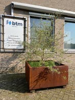 Cortenstaal Plantenbakken op Maat gemaakt, Nieuw, Metaal, Balkon