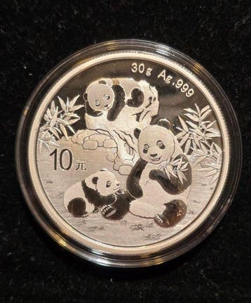 China. 10 Yuan 2025 Panda 30g. (Zonder minimumprijs)