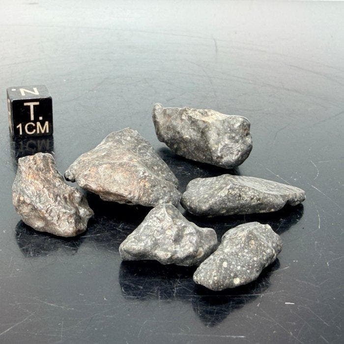 Rumuruti meteoriet NWA 13685 VOLLEDIGE STUKKEN - 25 g, Verzamelen, Mineralen en Fossielen