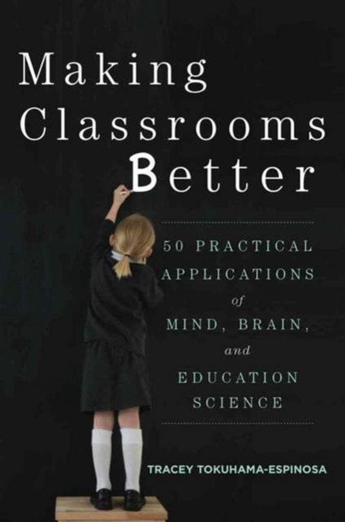 Making Classrooms Better 9780393708134, Boeken, Taal | Engels, Gelezen, Verzenden