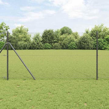vidaXL gelast draadhek met grondbevestiging 50 x 1 m, Verzenden, Nieuw, IJzer
